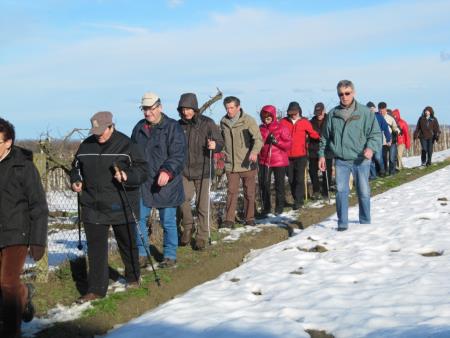 Pohod Živimo zdravo, februar 2013 10